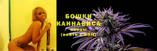 ГАЛЛЮЦИНОГЕННЫЕ ГРИБЫ Кулебаки