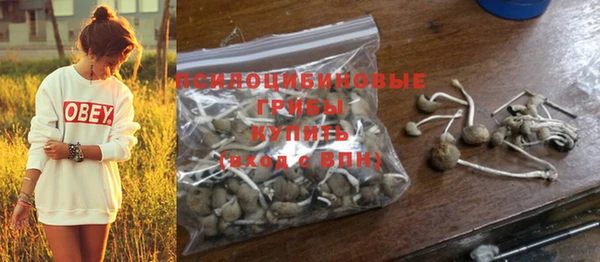 тгк Кукмор