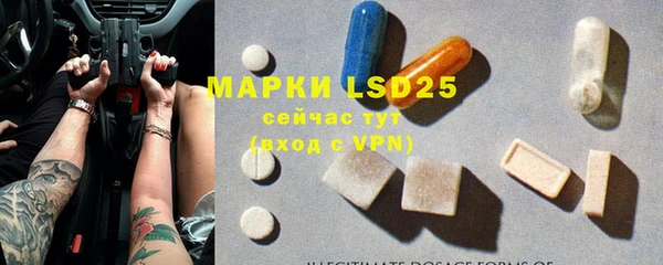 ГАЛЛЮЦИНОГЕННЫЕ ГРИБЫ Кулебаки