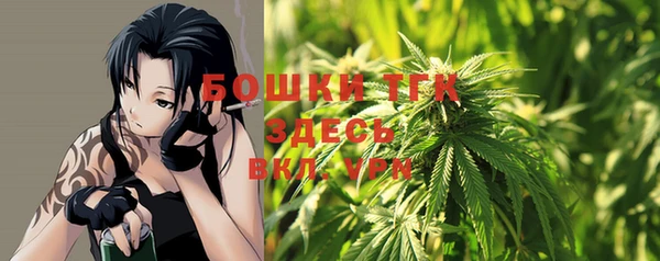 ГАЛЛЮЦИНОГЕННЫЕ ГРИБЫ Кулебаки
