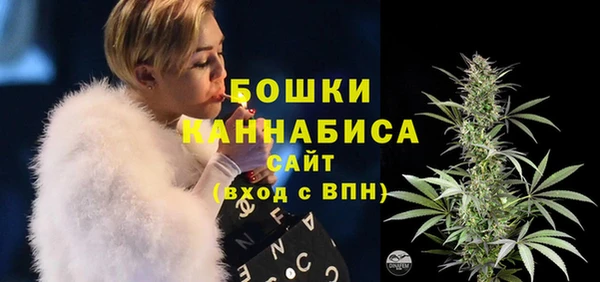 ГАЛЛЮЦИНОГЕННЫЕ ГРИБЫ Кулебаки